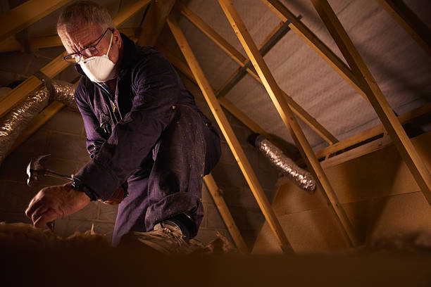 Best Spray Foam Insulation in Moreauville, LA