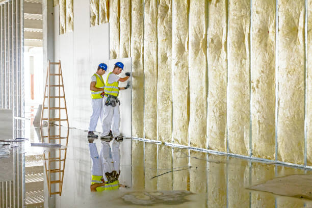 Best Insulation Maintenance and Repair in Moreauville, LA